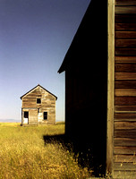 Hobson, Montana