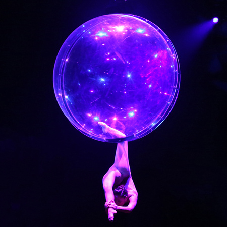 circus sarasota-06