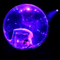 circus sarasota-03