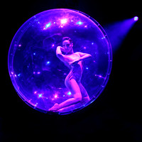 circus sarasota-04
