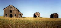 Hobson, Montana