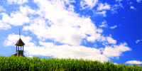 School in a Corn Field, Craig Nebraska